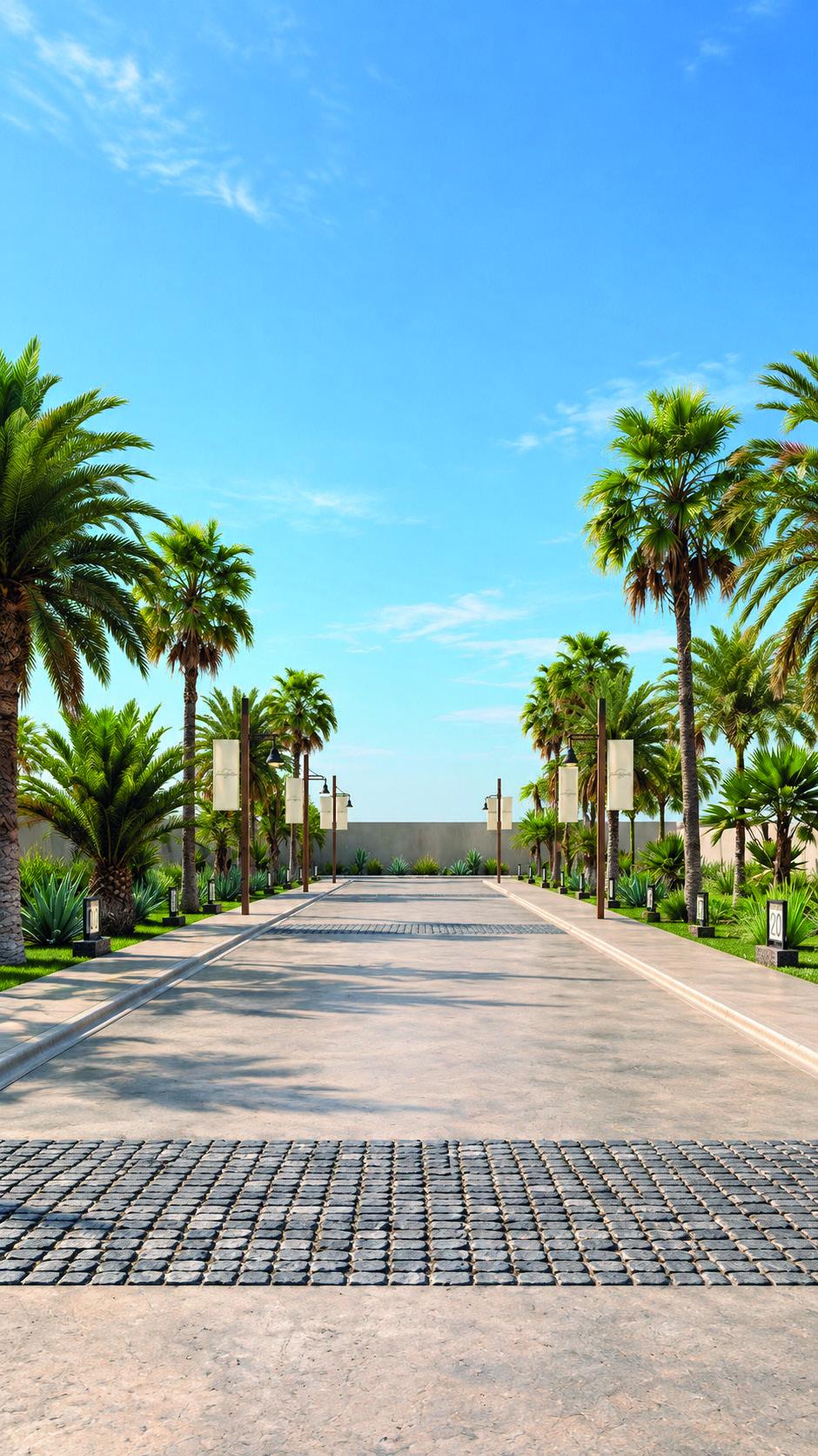 Acceso de Loma del Jazmín con palmeras